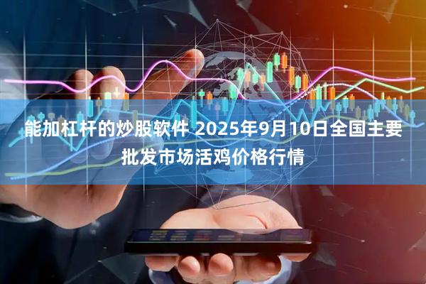 能加杠杆的炒股软件 2025年9月10日全国主要批发市场活鸡价格行情