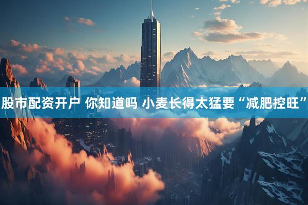 股市配资开户 你知道吗 小麦长得太猛要“减肥控旺”